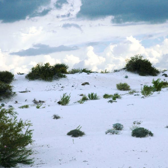 Visitar las Dunas de Yeso – COAHUILA, MARAVILLAS NATURALES
